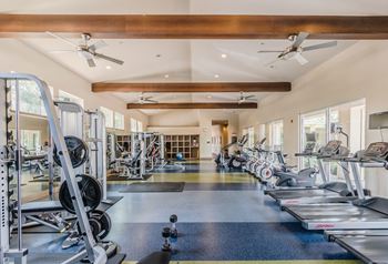 Free weights